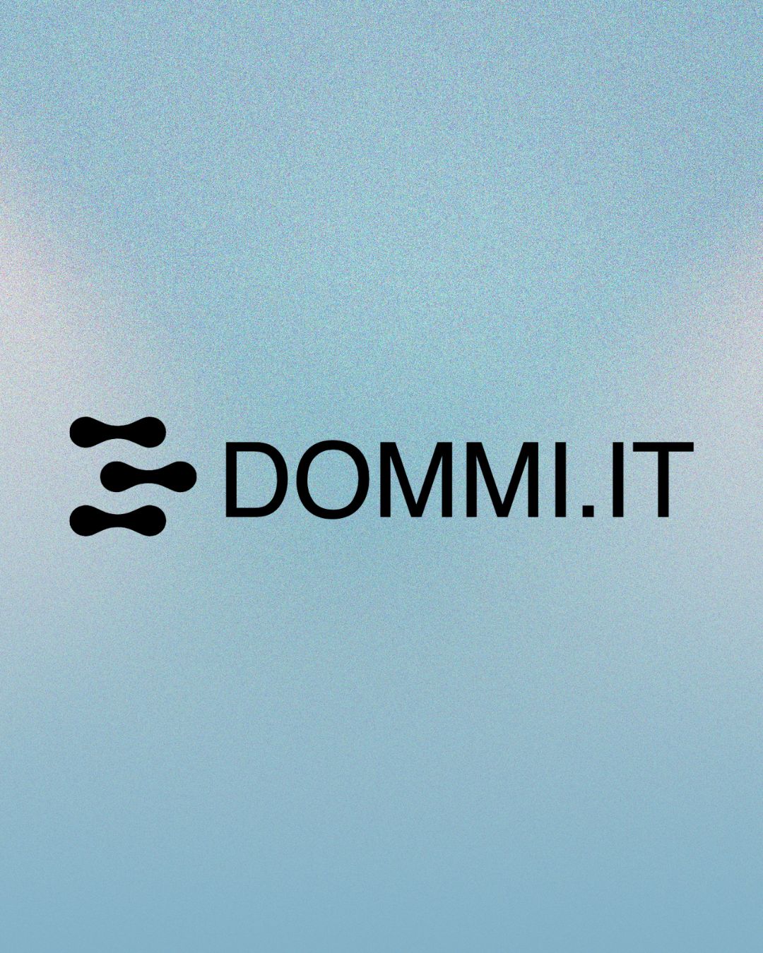 Partner Dommi IT